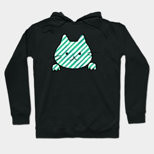 Cute Teal Striped Cat Hoodie